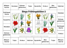 Bingo-Frühlingsblüten-3-B.pdf